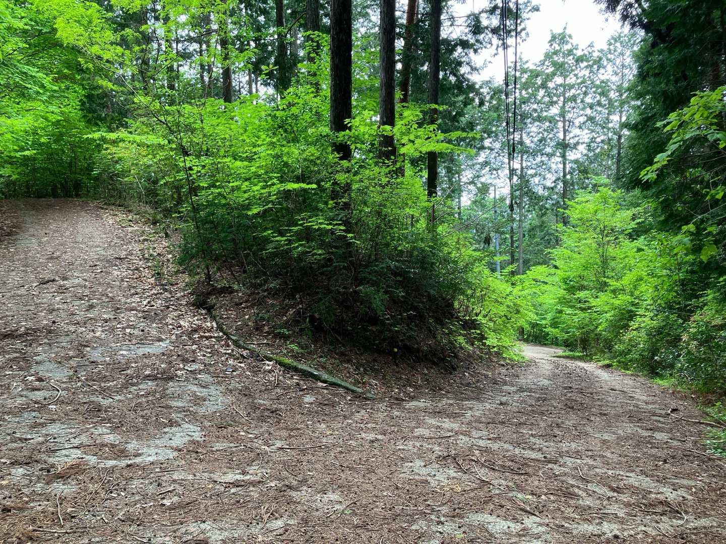 ピストンで足速に下山💦