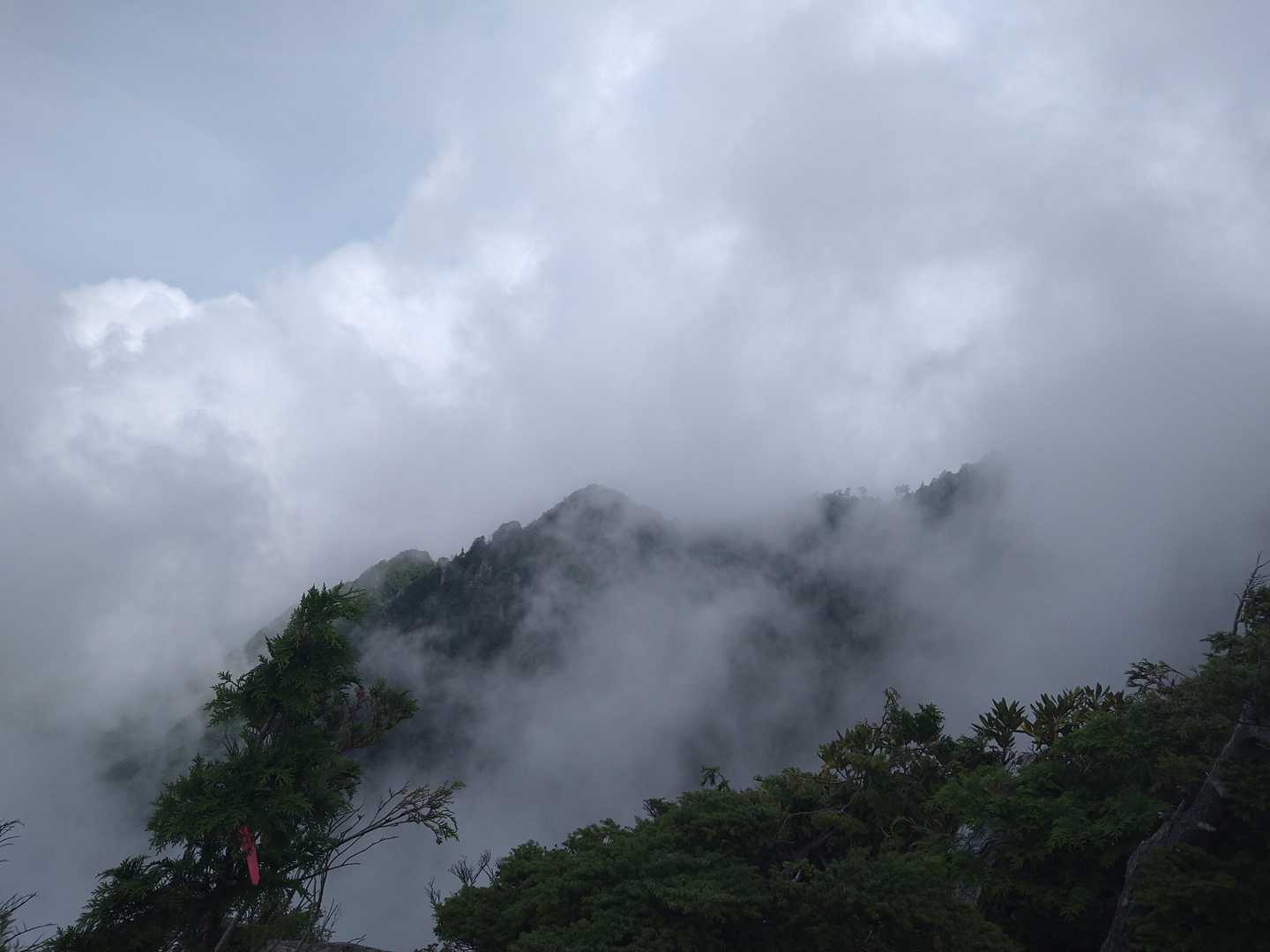 雲上がってきた
今日晴れって言ってたけど、山頂で御嶽さん眺められるのかな…