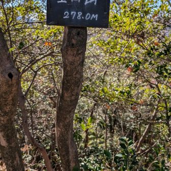 15　星田山
14　星海山は撮り漏れ