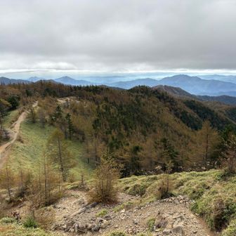 避難小屋到着