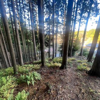 池の谷地蔵へ最後の下り