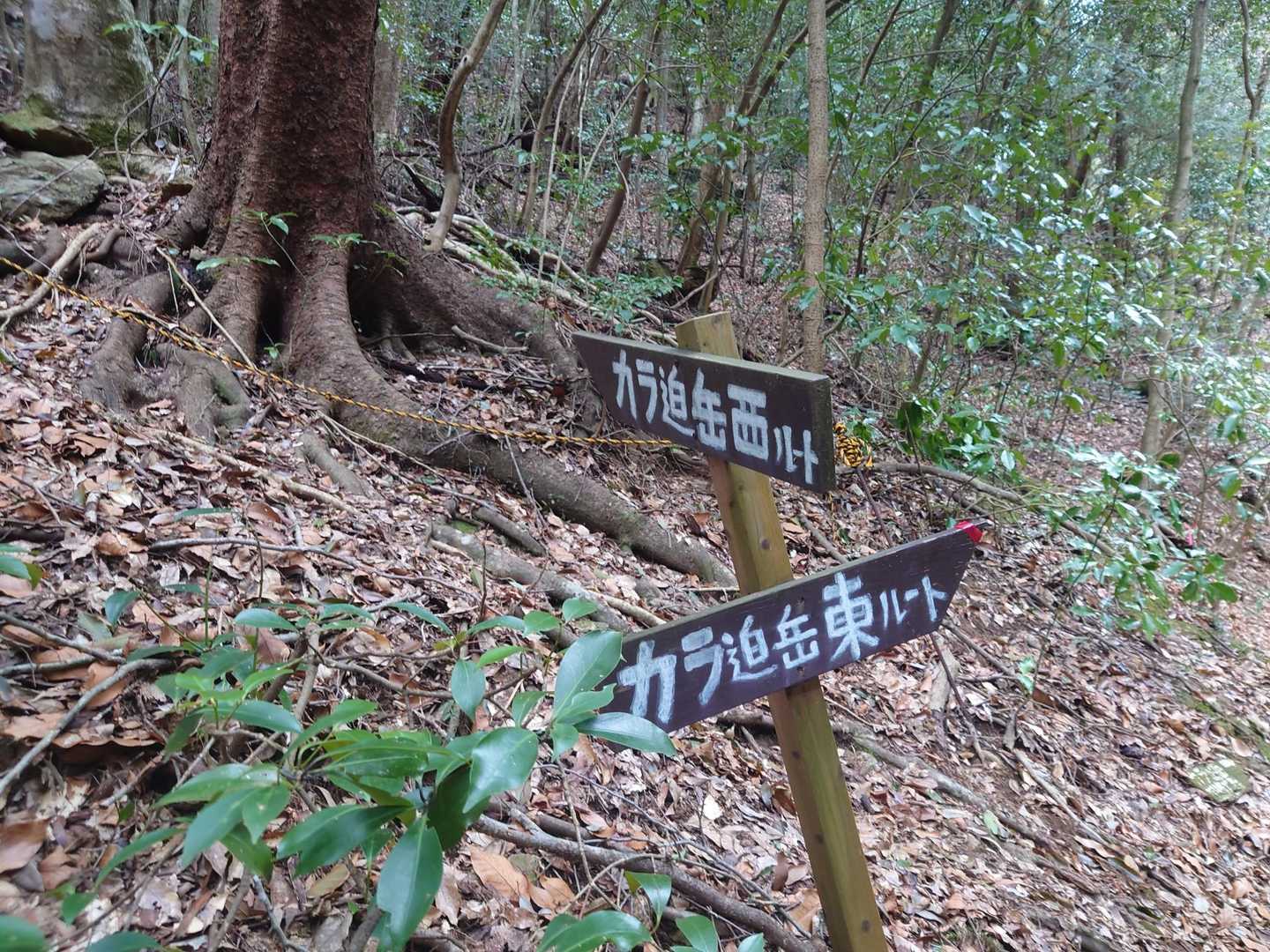 西ルートから登り、東ルートへ降ります！後で西ルートは急登だと気づいた😳
