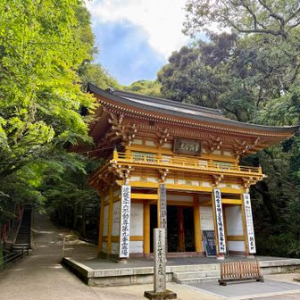再度山大龍寺の立派な山門🐉
