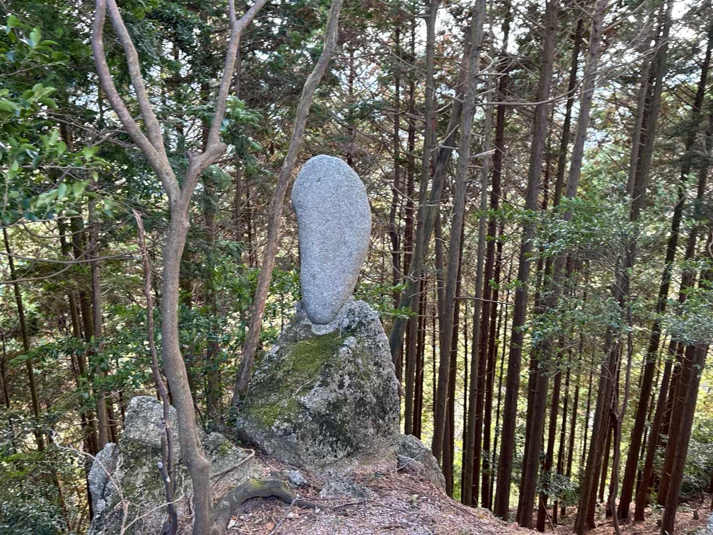 石碑かな❓