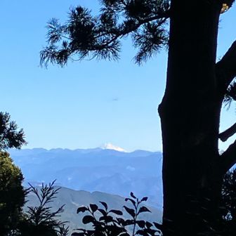 帰りも、奥宮から👀