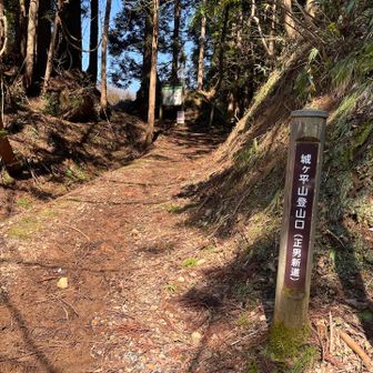 周回コースの下山口
ただここからロードコース