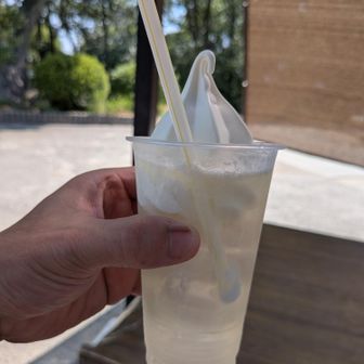 瀬戸内レモンフロート😋