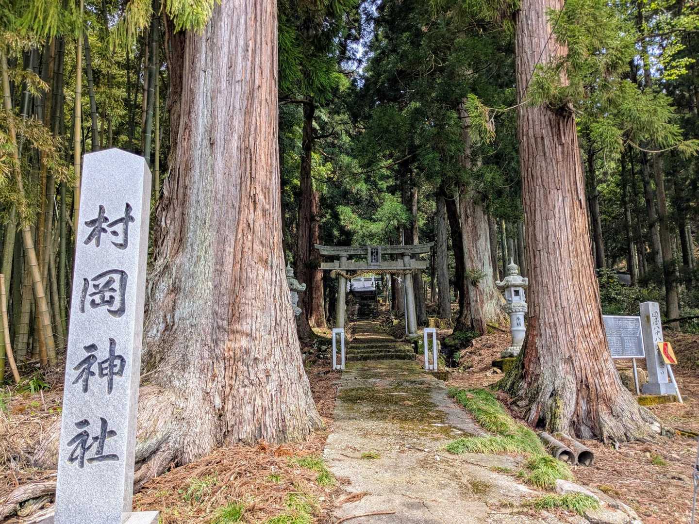 御立山(村岡山)に登る
弁天緑地から2.5kmほどやったから走ろうかとも思ったけど暑すぎてヤメた🥵
道路の気温表示が36℃ってなってたけどホント⁉️