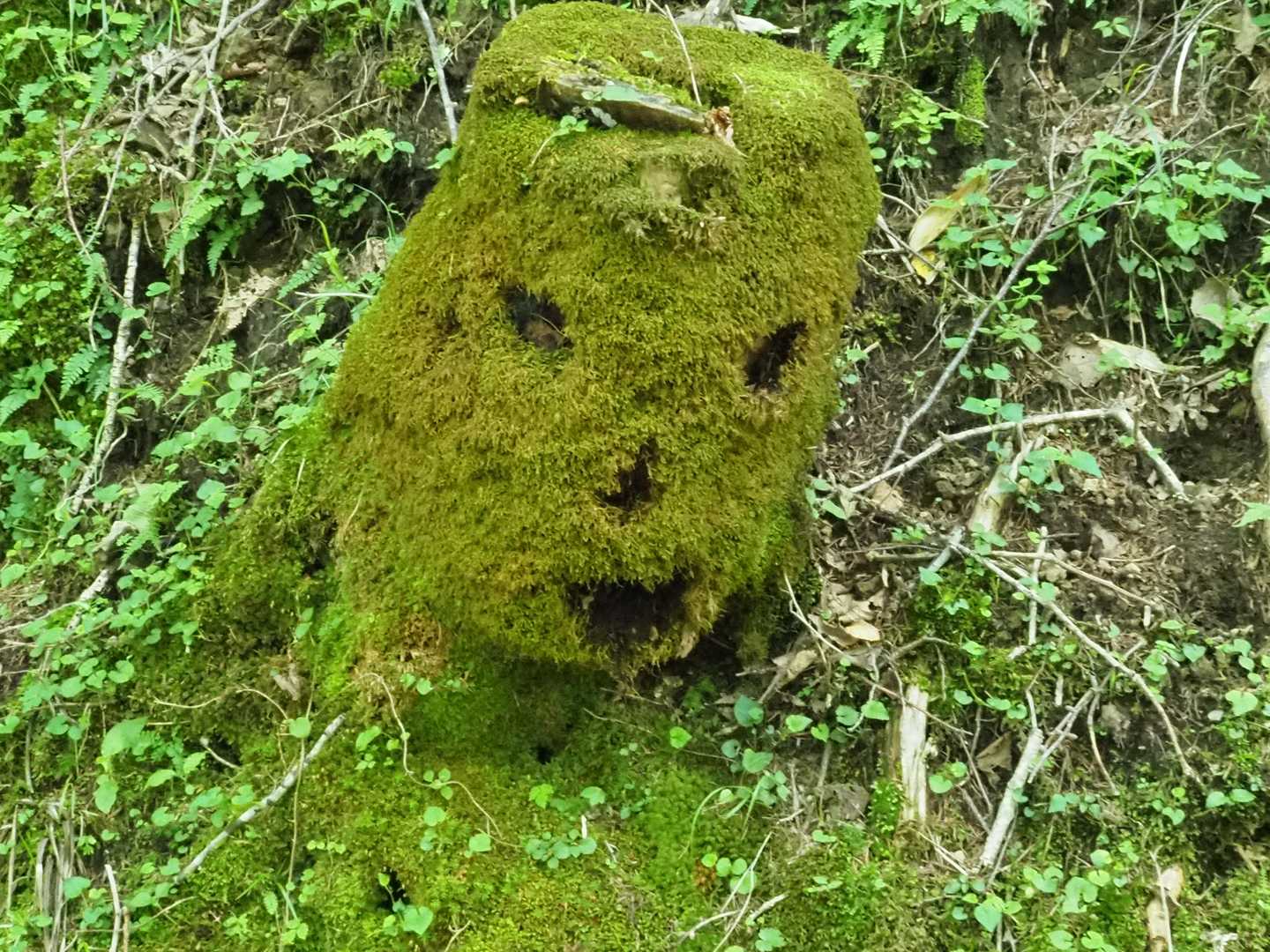 これは自然にできたの？