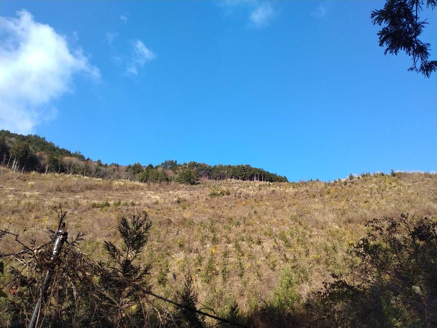 少し歩くと、研究林地域につきました！