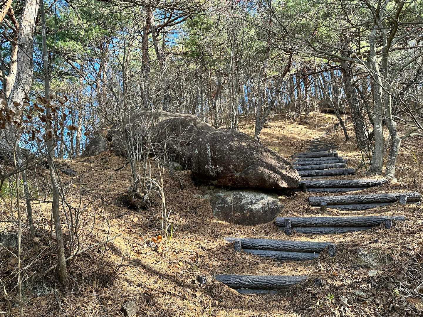 岩岳 往復コースの写真