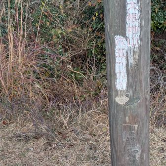 山頂の表示　一寸寂しいかも・・・