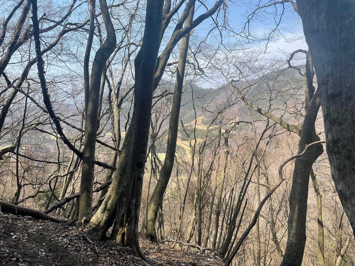 この辺りはゴルフ軍と山梨ハンター軍との紛争地（Tさんの戦記物に影響されている😂）