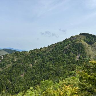 下山途中の三ツ岩の辺りを登ってみた景色
三ツ岩そのものは、どこにあったのかな？