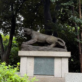 山頂近くに🐯