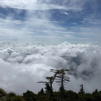 広がる雲海
