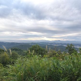 少しの雨でしたが、空気が入れ替わって少し涼しい
朝4時の方が暑かったです