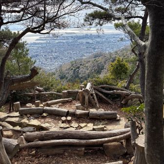 みなさん、いなくなってしまいました🥹