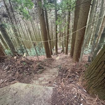こちら側が表参道だった様です