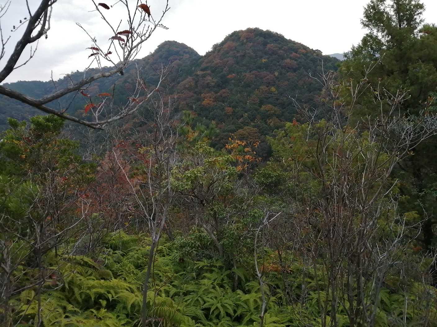 こちらの西方便山も紅葉🍁
いい感じです🎵