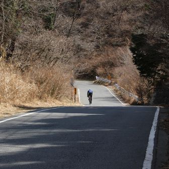 💁🏻‍♀️📷バイク🚲の方がたくさん。

登山道ではなかなかないので新鮮です。