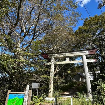 この地点スカイツリーと同じ高さだそうな🙄