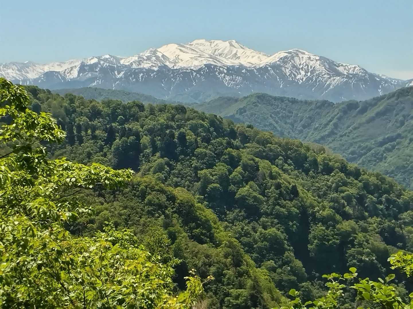 大恐山（オンソリ山）260505 / もとすけの登山データ | YAMAP / ヤマップ