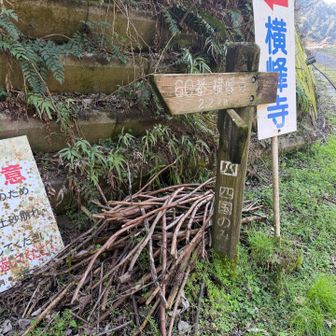 たくさんの杖😂