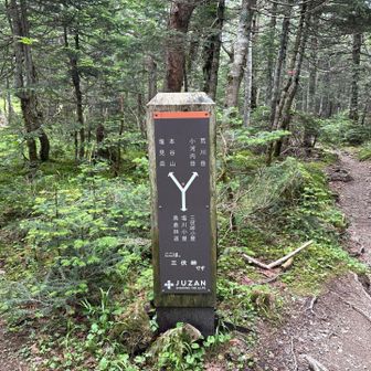 三伏峠小屋からすぐに分岐があります。塩見岳へは左に進みます。