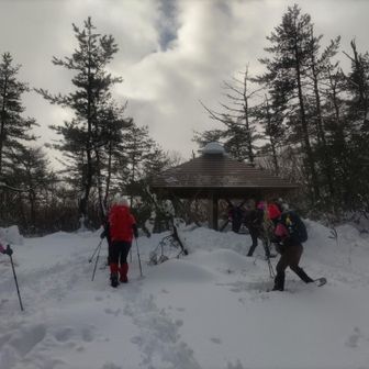 そこそこの積雪