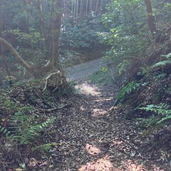 降りてきました～
伊東駅までは20分程です。