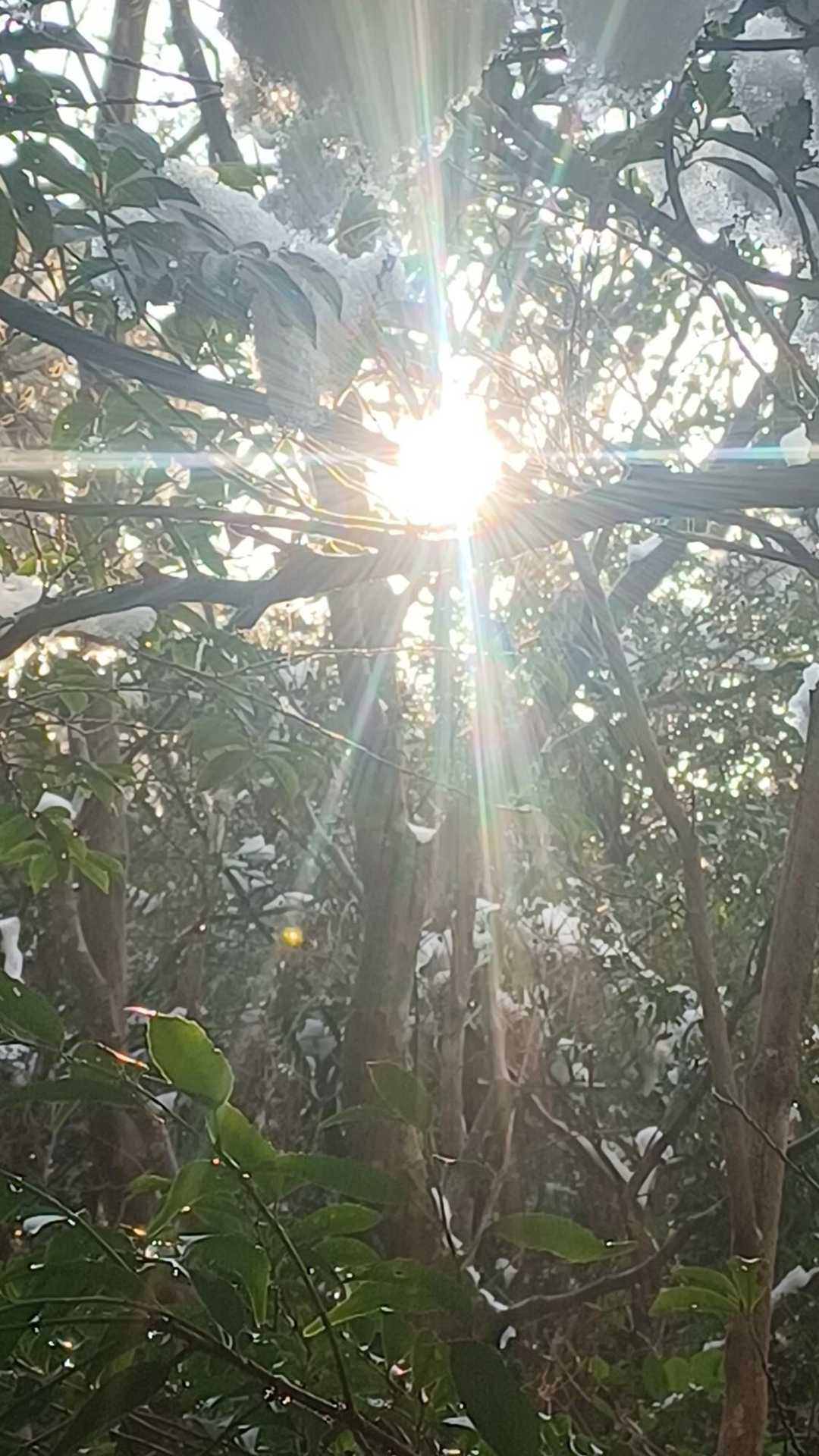 俺がクリスちゃんなら祈りを捧げてるかも✨🙏