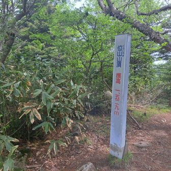 位山山頂