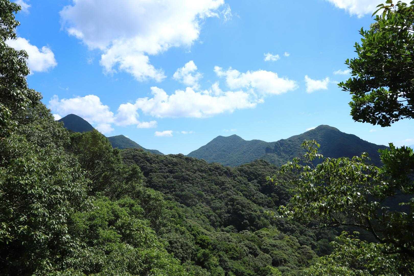 竜門ダム登山口-牧ノ山 周回コースの写真