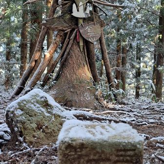 八乙女山三角点 751.8m登頂🙌
