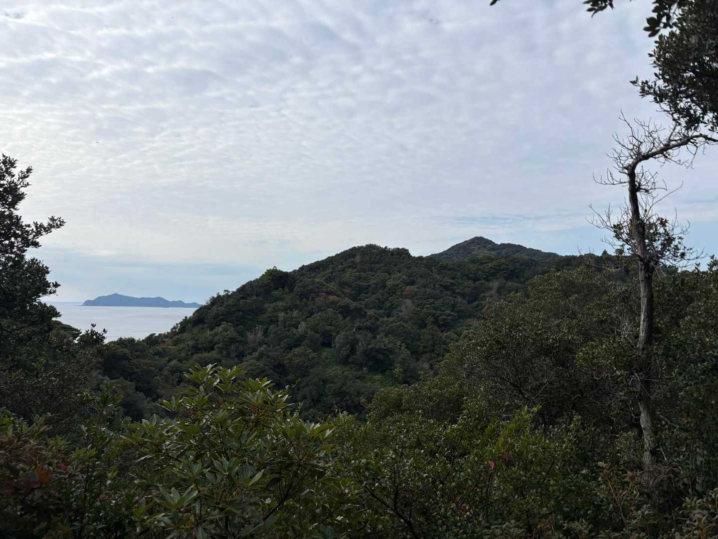 千羽富士見えた😊

牟岐大島も