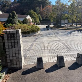 庚申山から公園内に戻る
お疲れ様でした♪