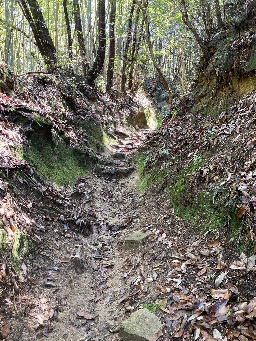 雰囲気のある道