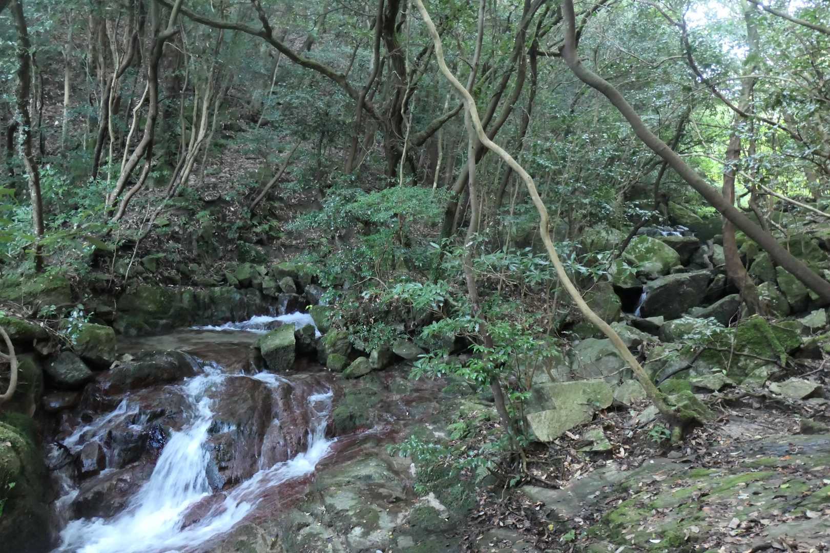 金山-アゴ坂峠 往復コースの写真