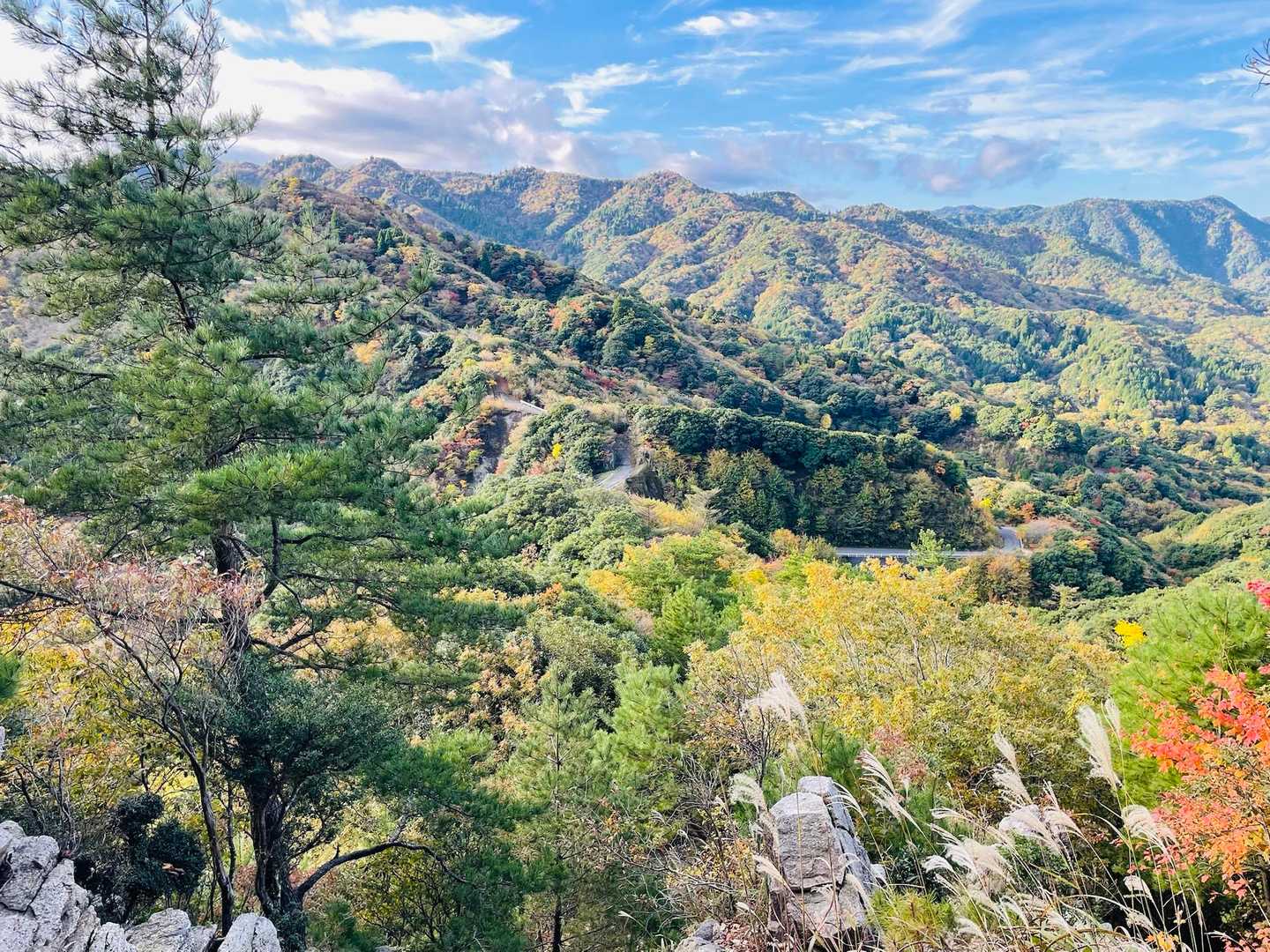 表道登山道 コースの写真