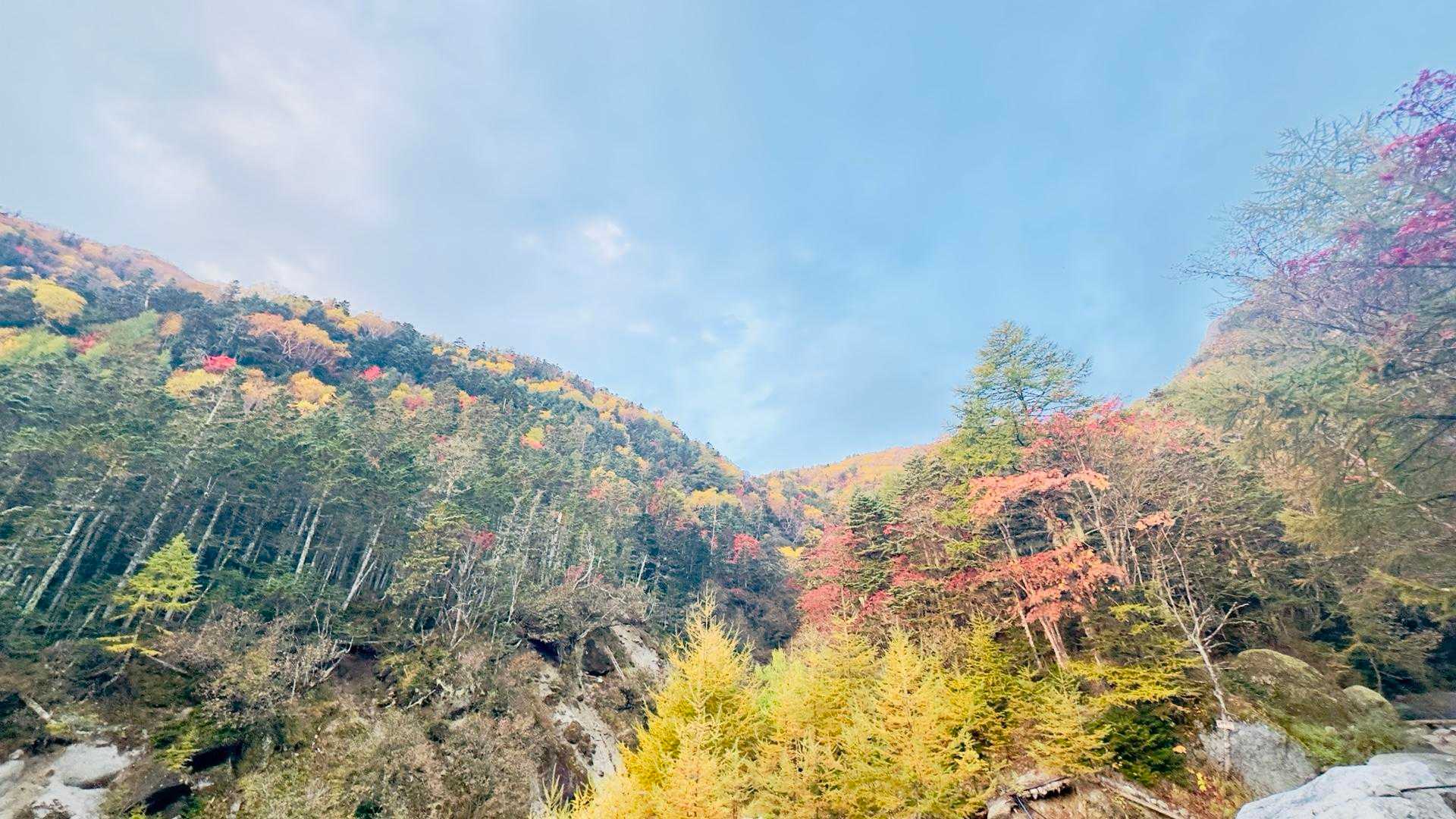 紅葉🍁さんおはよう😃
さぁ登りますかー