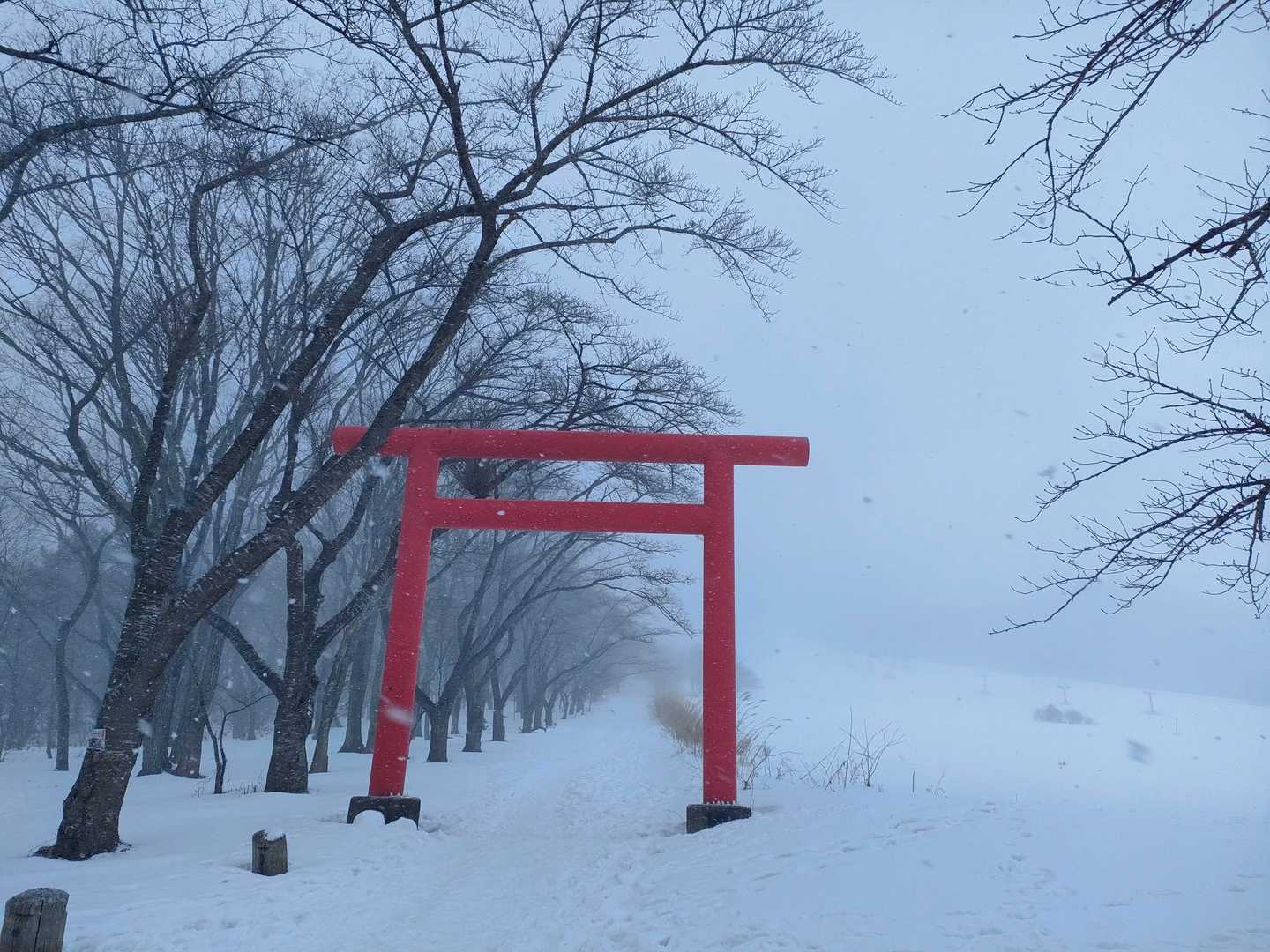 やくらいガーデンSTART
さっきまで晴れていたのに直前で雪雲が流れて来た😕