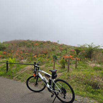 高ボッチ高原まで来たら一面レンゲツツジ🏵️🏵️🏵️

丘の上に写真を撮っている人が居るので行ってみます