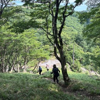 激降り無くなり登山道ロープ等有り整備されてました。