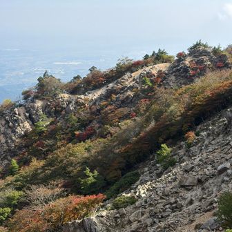 紅葉🍁色づいてきてます
