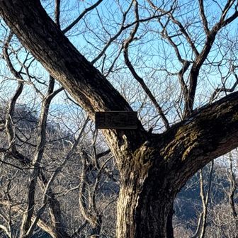 貝吹鳥屋山頂👍法螺貝吹くところかな?