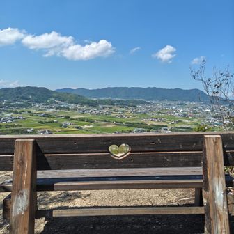 福井山のベンチは最高👍