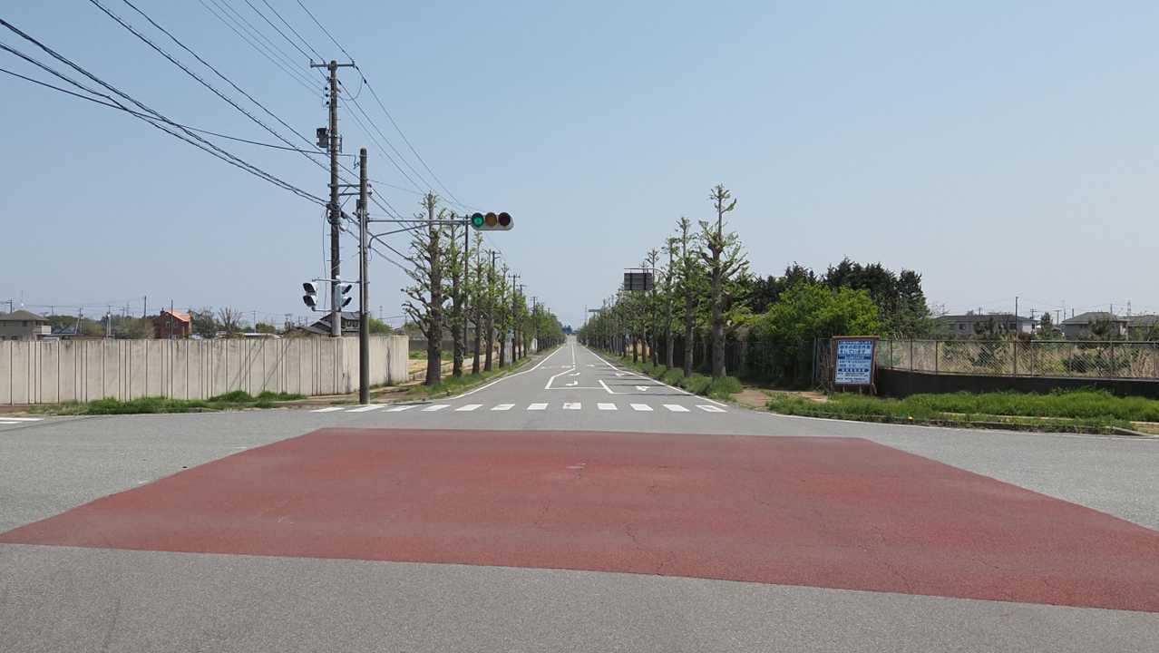 ふくしま浜街道トレイル#3-1 （夜ノ森駅〜大熊〜大野駅） の写真 20