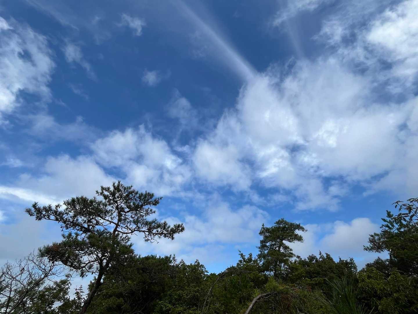 真上だけ晴れ☀️気温上昇💦