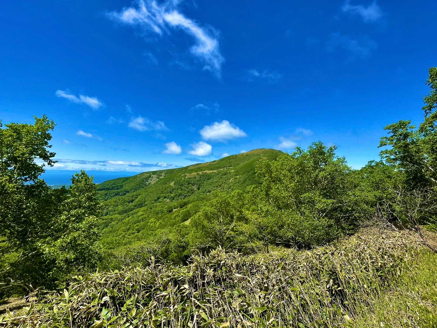 奥に見える鷲別岳へ向かいます🥾